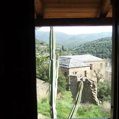 Antonis Stone House Βίλα Ζάρακες Εξωτερικό φωτογραφία