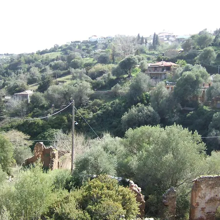 Antonis Stone House Βίλα Ζάρακες Εξωτερικό φωτογραφία